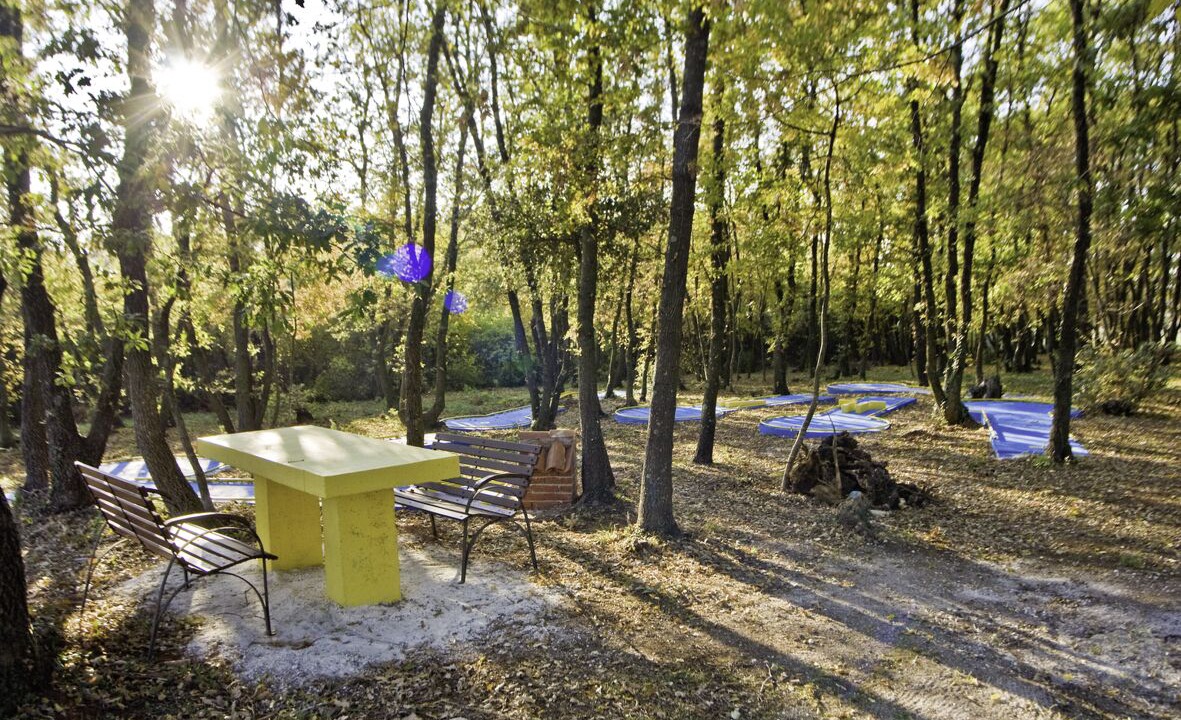 Photo of Outdoor in Muntic