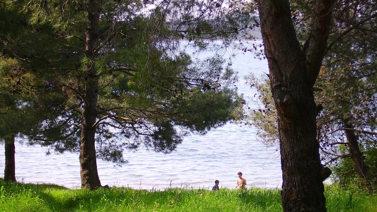 Photo of Others in Medulin