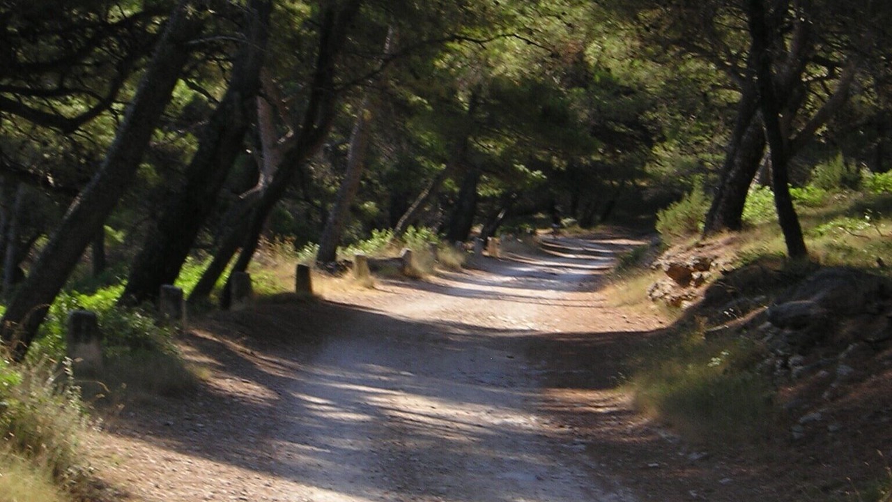 Photo of Outdoor in Postira
