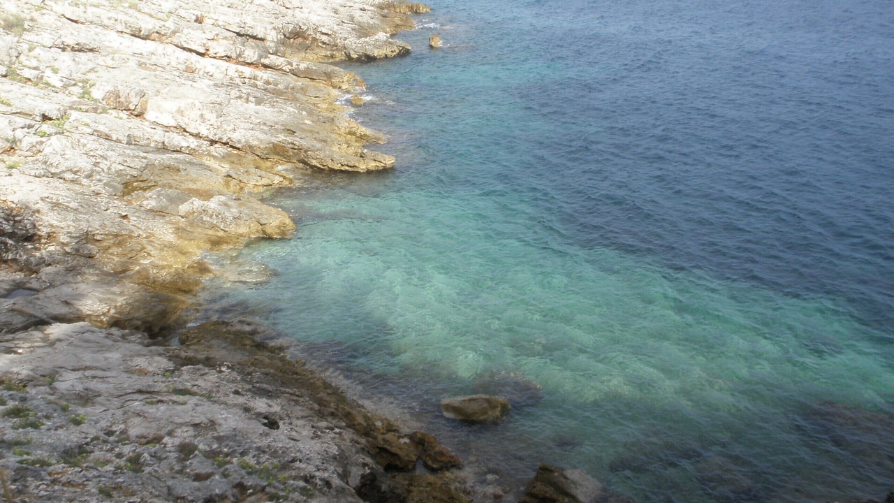 Photo of Others in Postira
