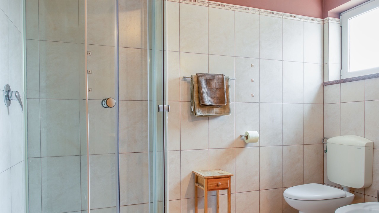 Photo of Bathroom in Medulin