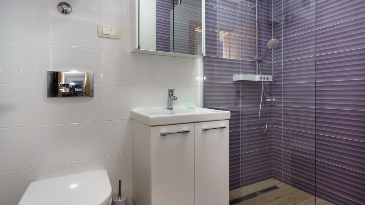 Photo of Bathroom in Milovcici