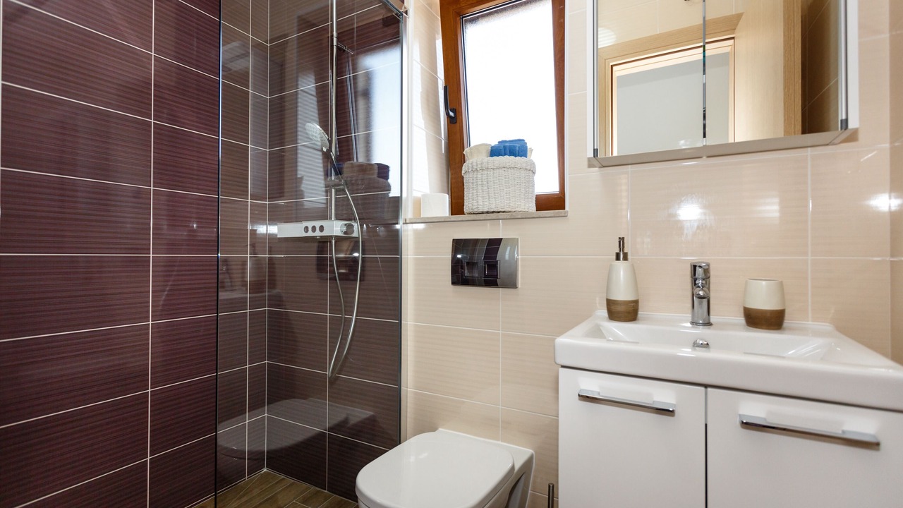 Photo of Bathroom in Milovcici