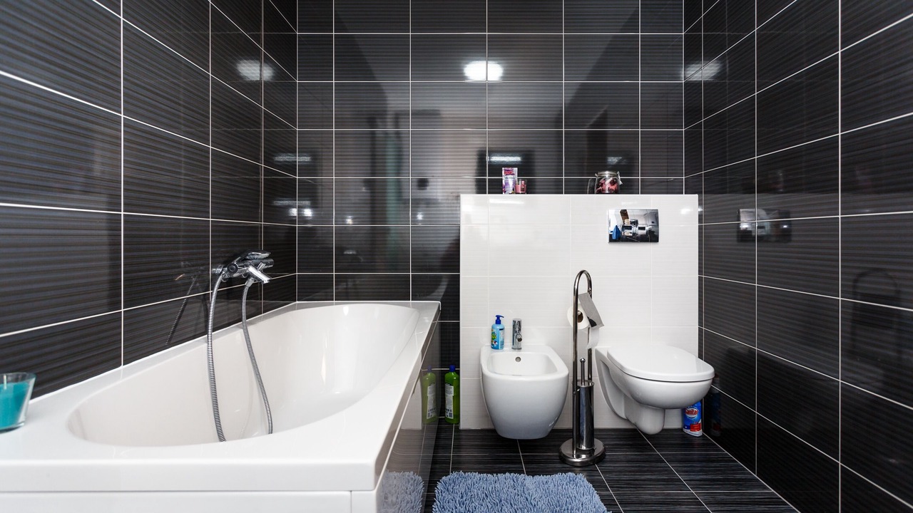 Photo of Bathroom in Milovcici
