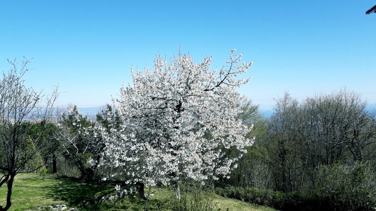 Photo of Outdoor in Veprinac