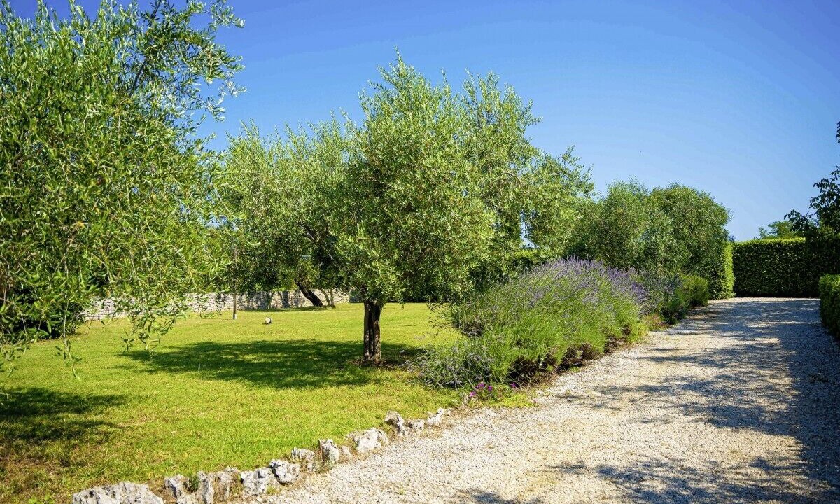 Photo of Outdoor in Vodnjan