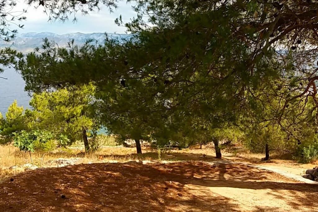 Photo of Outdoor in Praznica