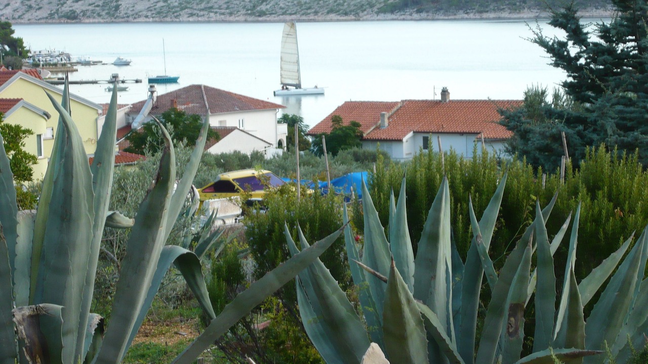 Photo of Outdoor in Barbat na Rabu