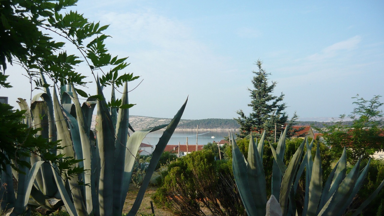 Photo of Outdoor in Barbat na Rabu