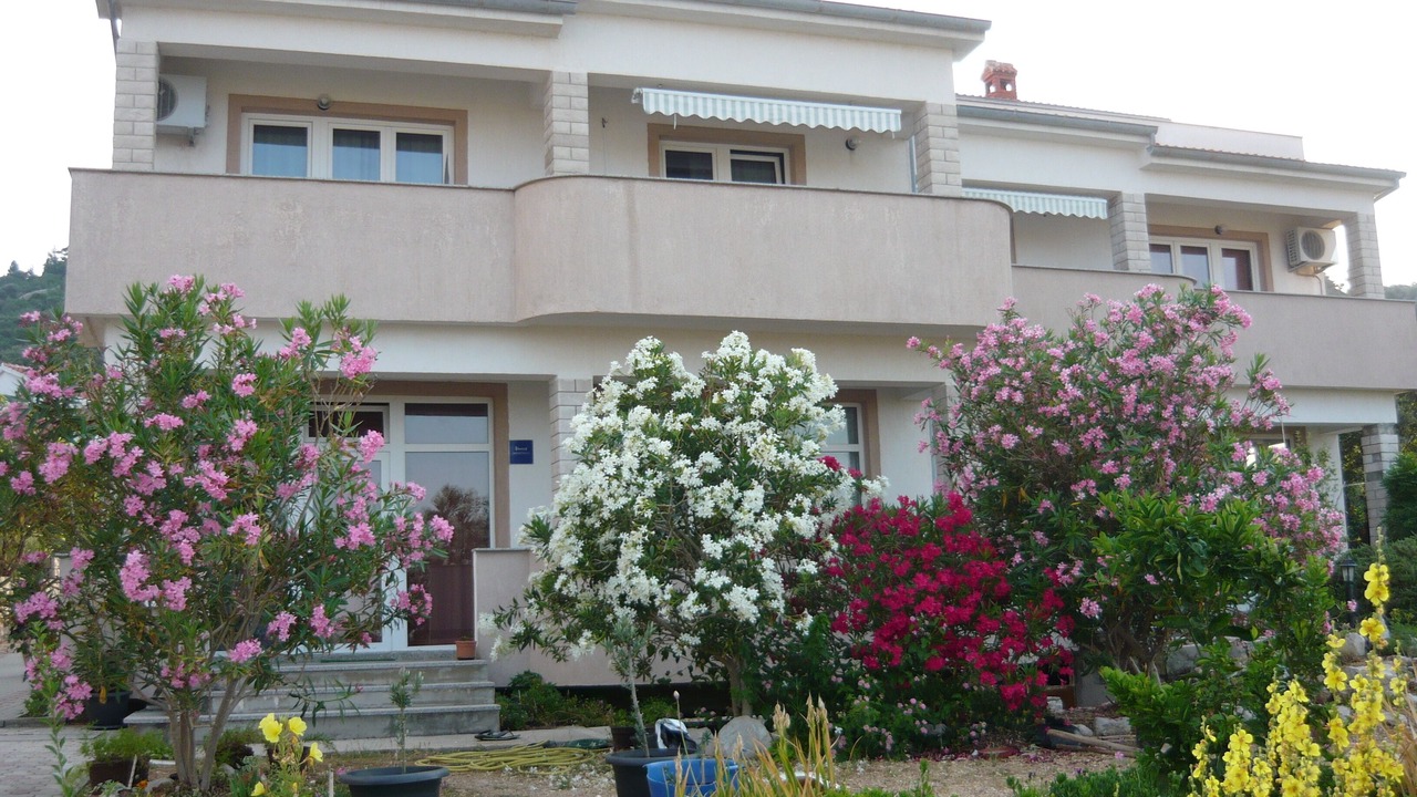 Photo of Outdoor in Barbat na Rabu