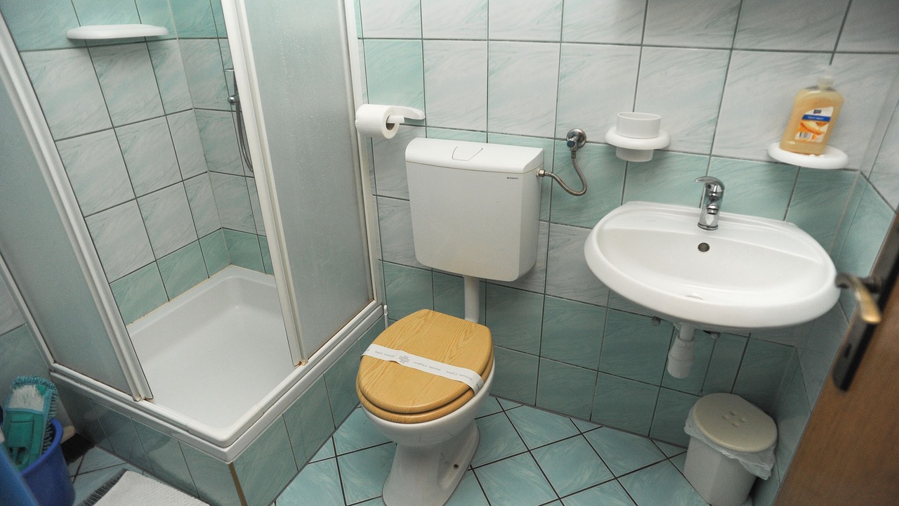 Photo of Bathroom in Caska