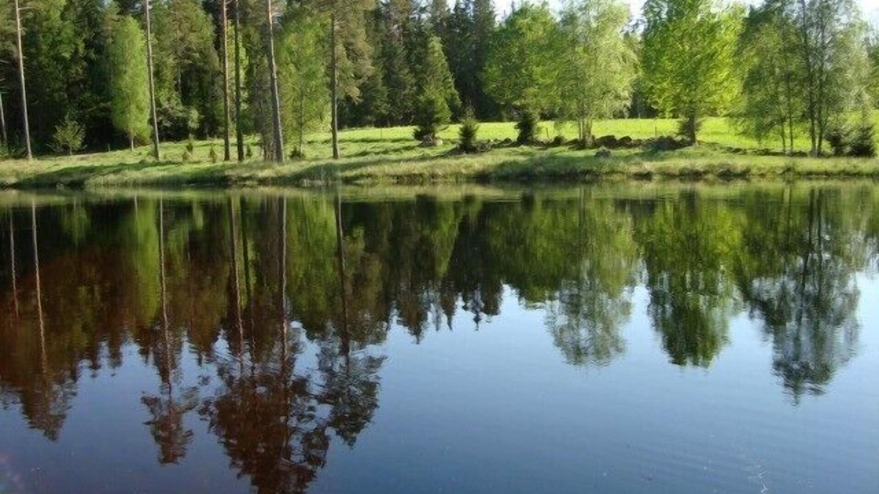Photo of Outdoor in Savsjo