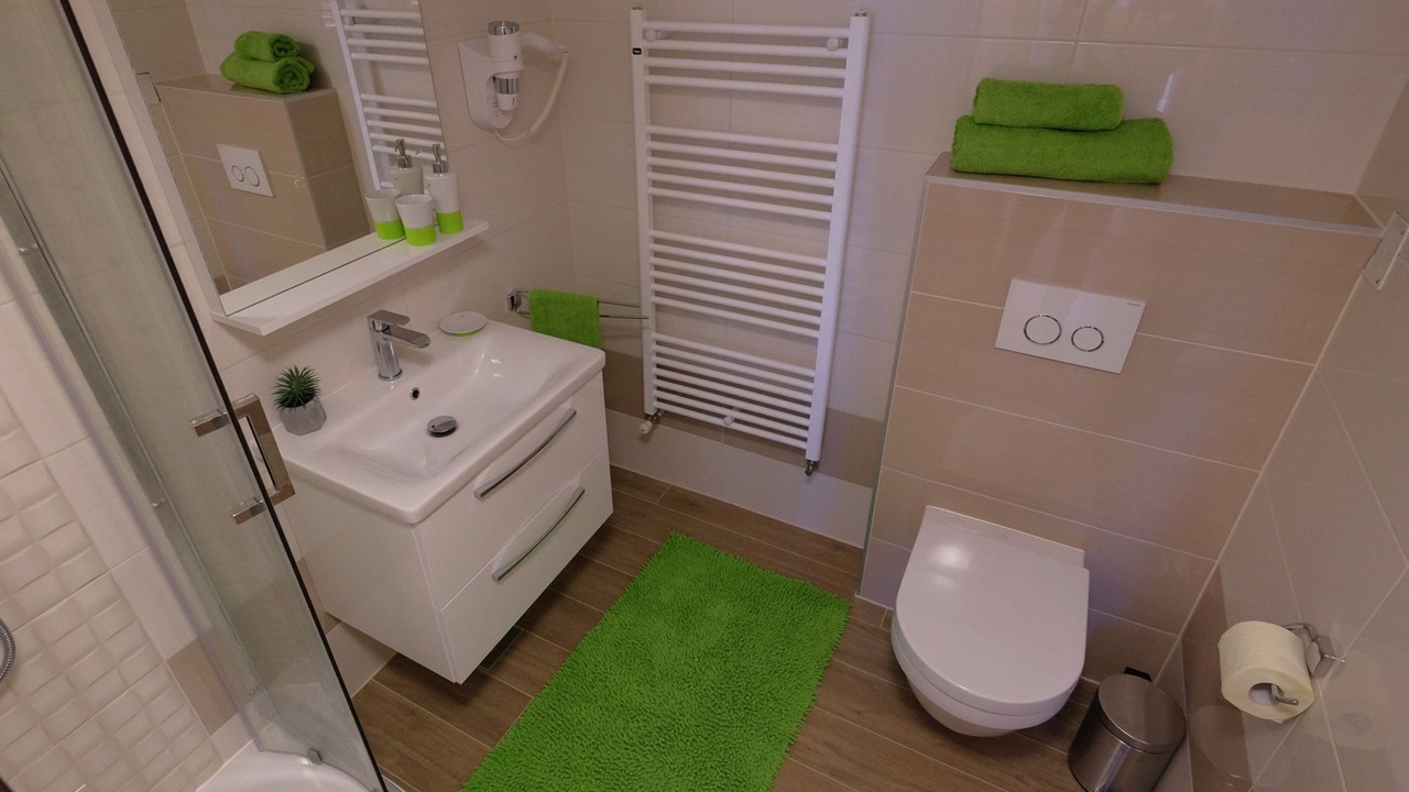 Photo of Bathroom in Pomer