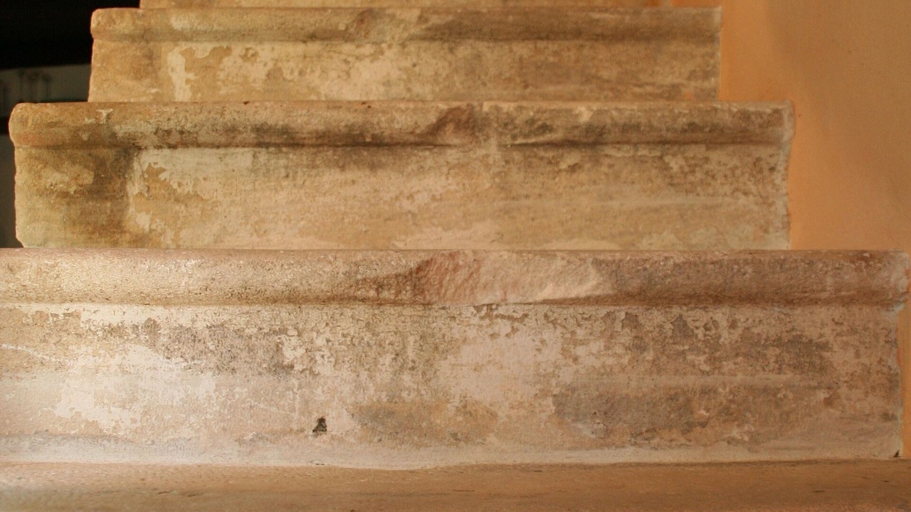 Photo of Others in Betina