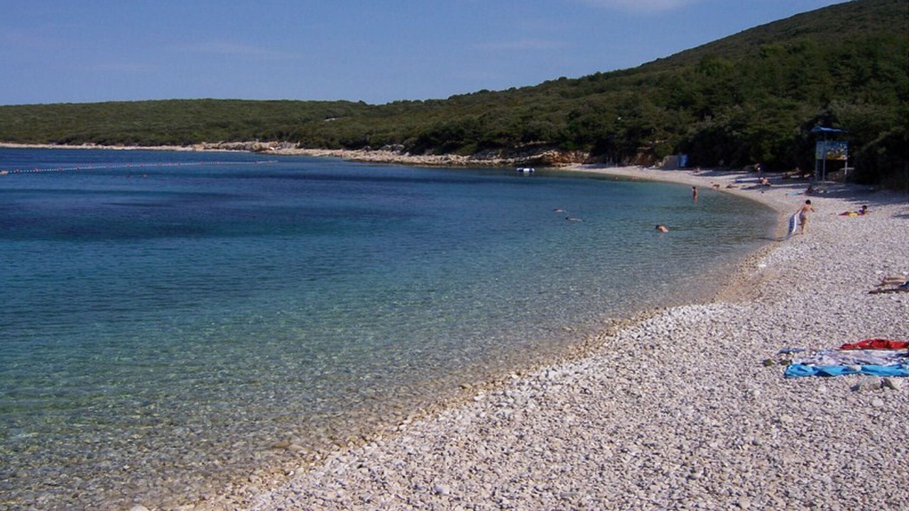 Photo of Others in Miholascica