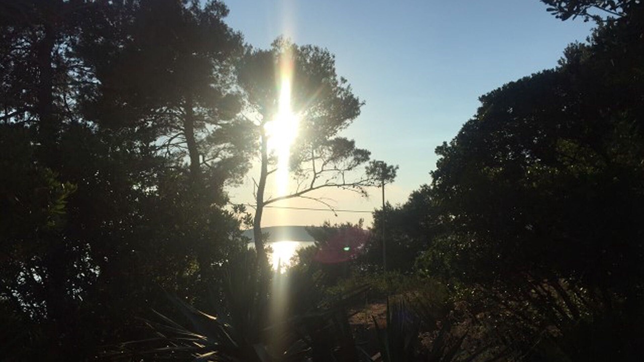 Photo of Outdoor in Miholascica