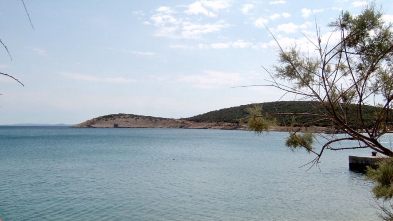 Photo of Others in Miholascica