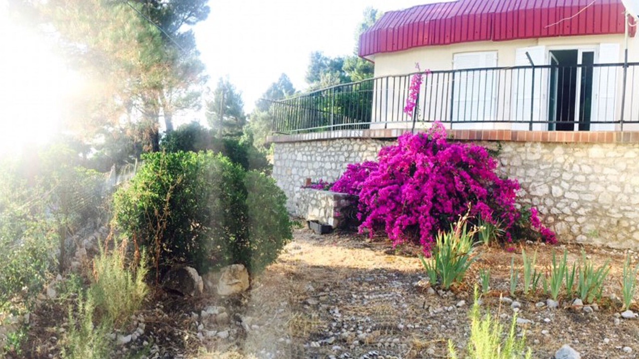 Photo of Outdoor in Miholascica