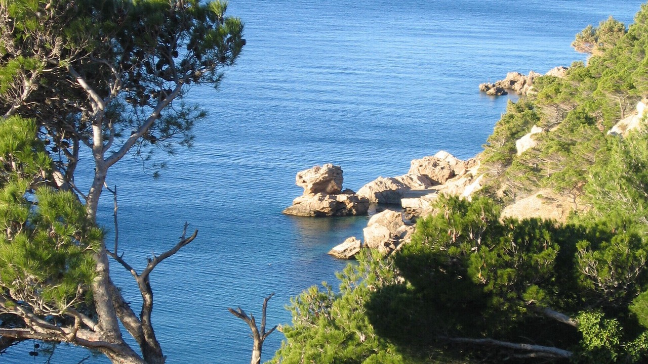 Photo of Others in Marusici