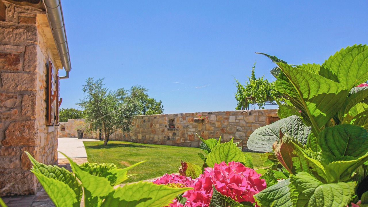 Photo of Outdoor in Cokuni