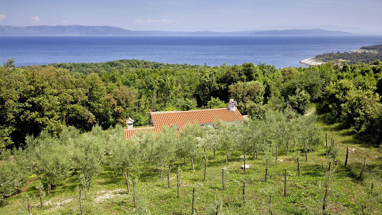 Photo of Outdoor in Duga Luka