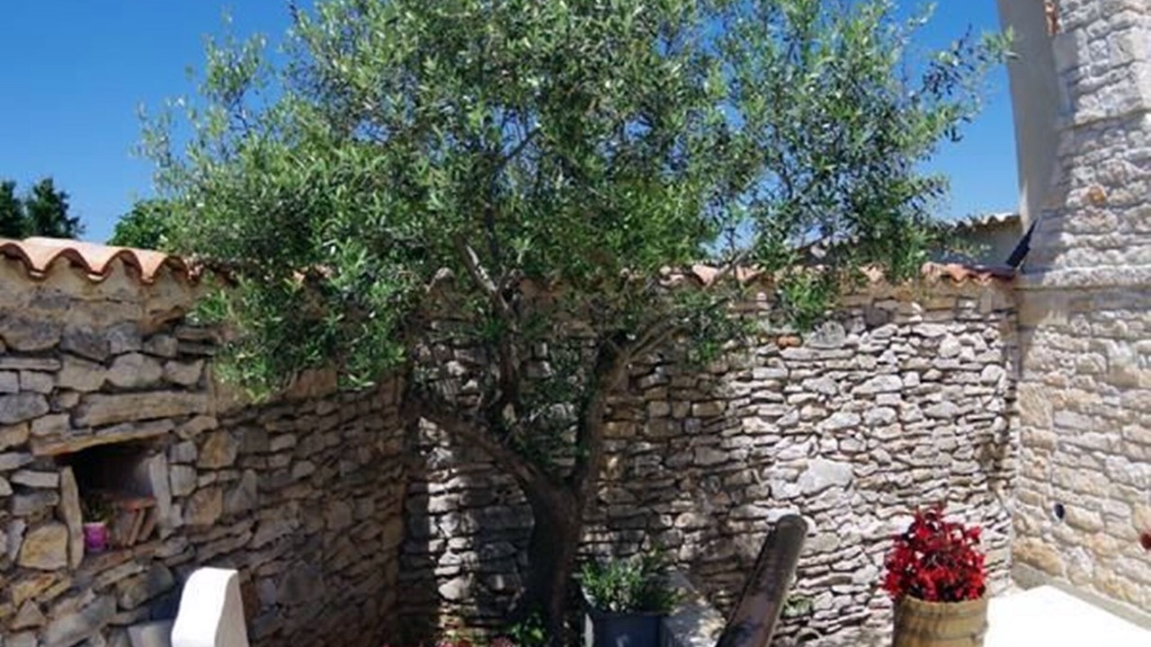 Photo of Outdoor in Kavran