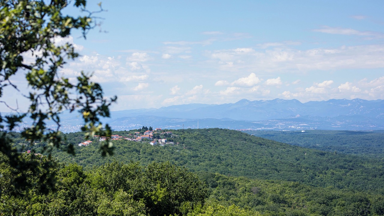 Photo of Others in Tribulje