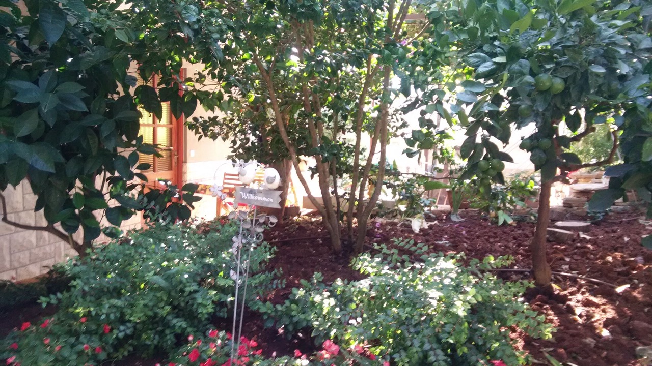 Photo of Outdoor in Banjole