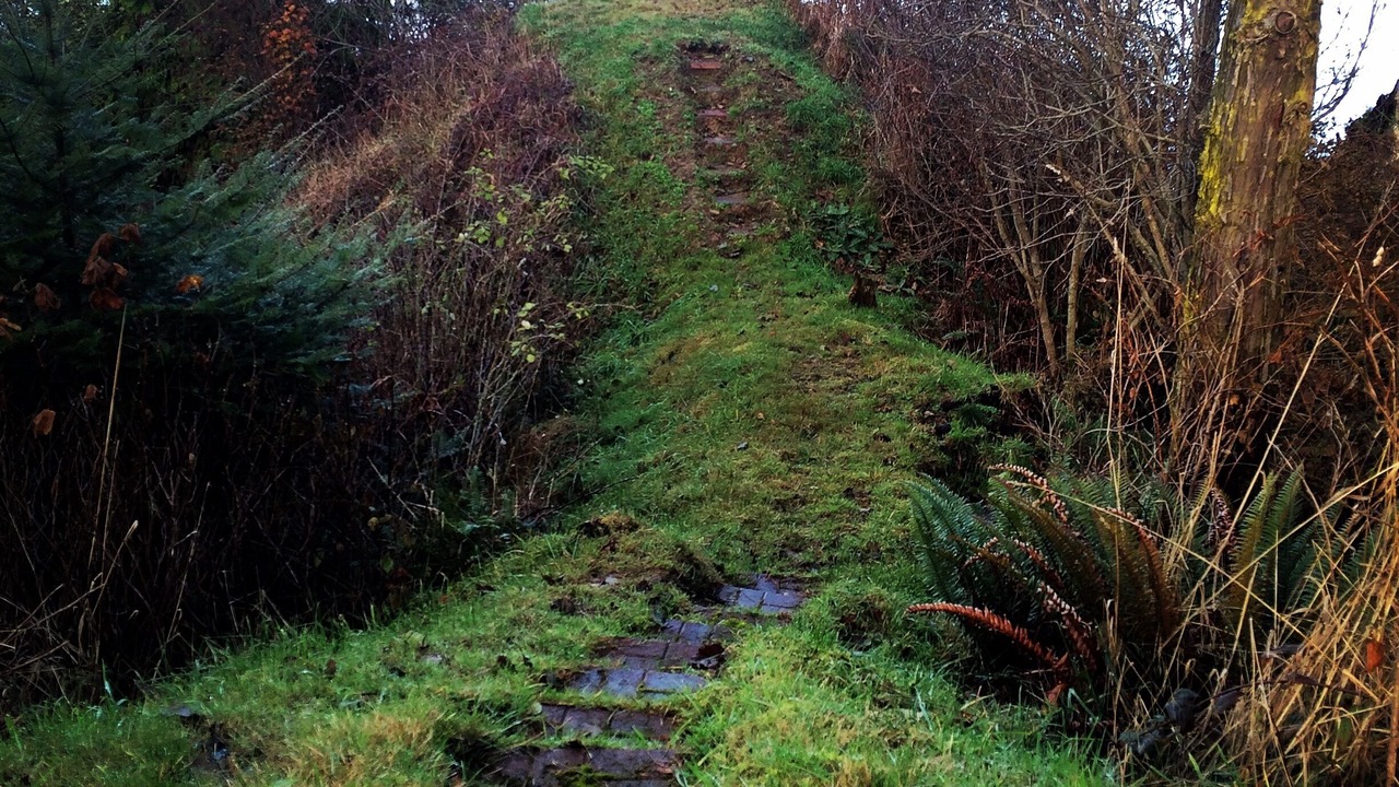 Photo of Others in Port Angeles