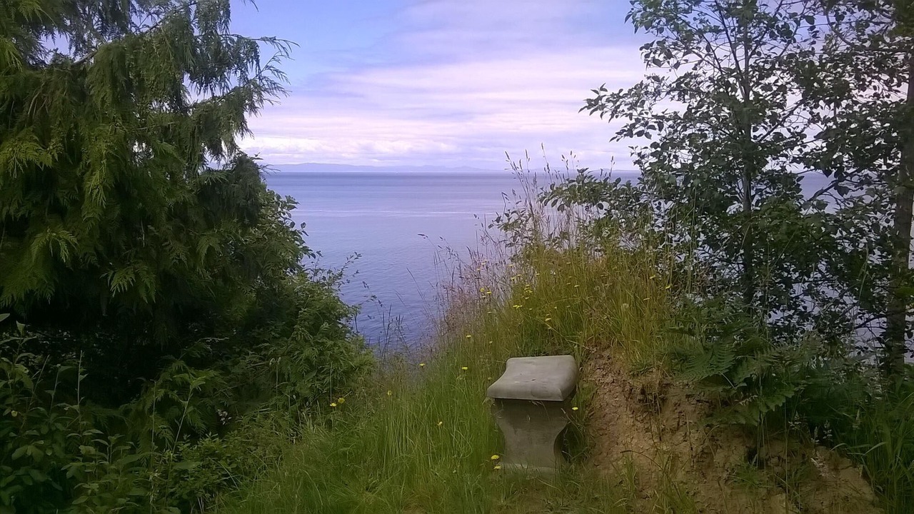 Photo of Others in Port Angeles