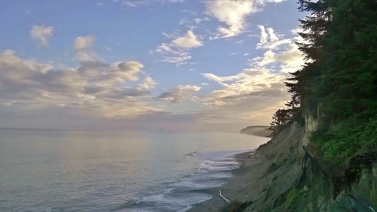 Photo of Others in Port Angeles