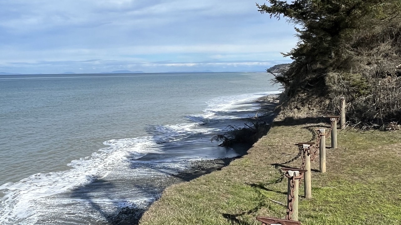 Photo of Others in Port Angeles