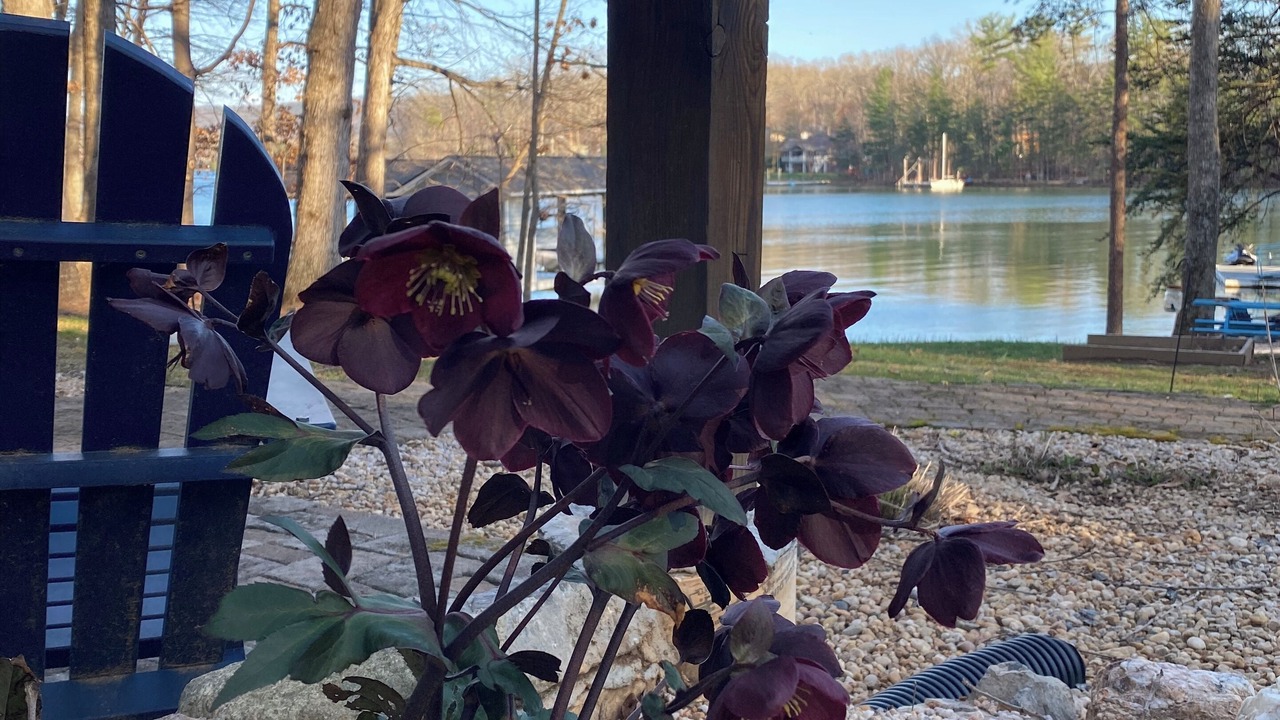 Photo of Outdoor in Smith Mountain Lake