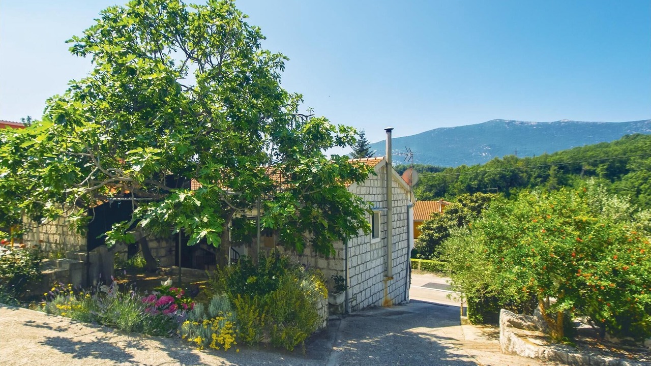 Photo of Outdoor in Ostrvica