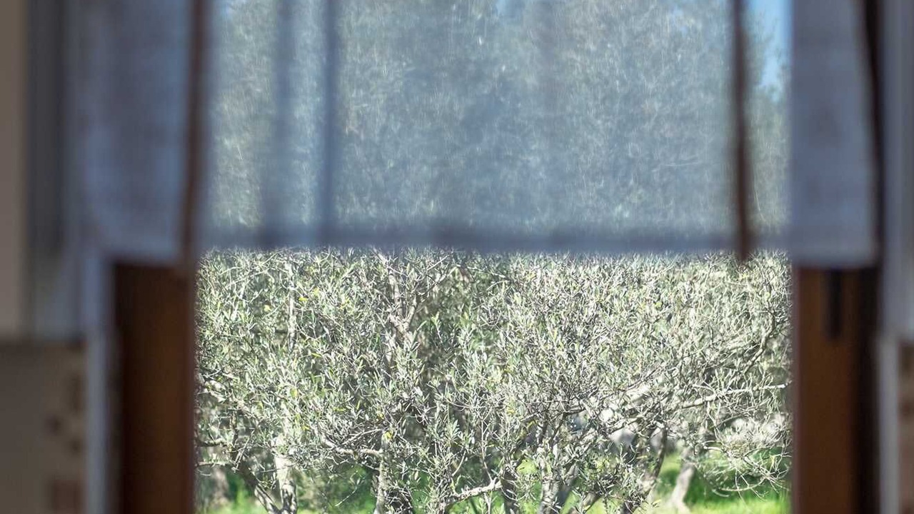 Photo of Others in Milohnici