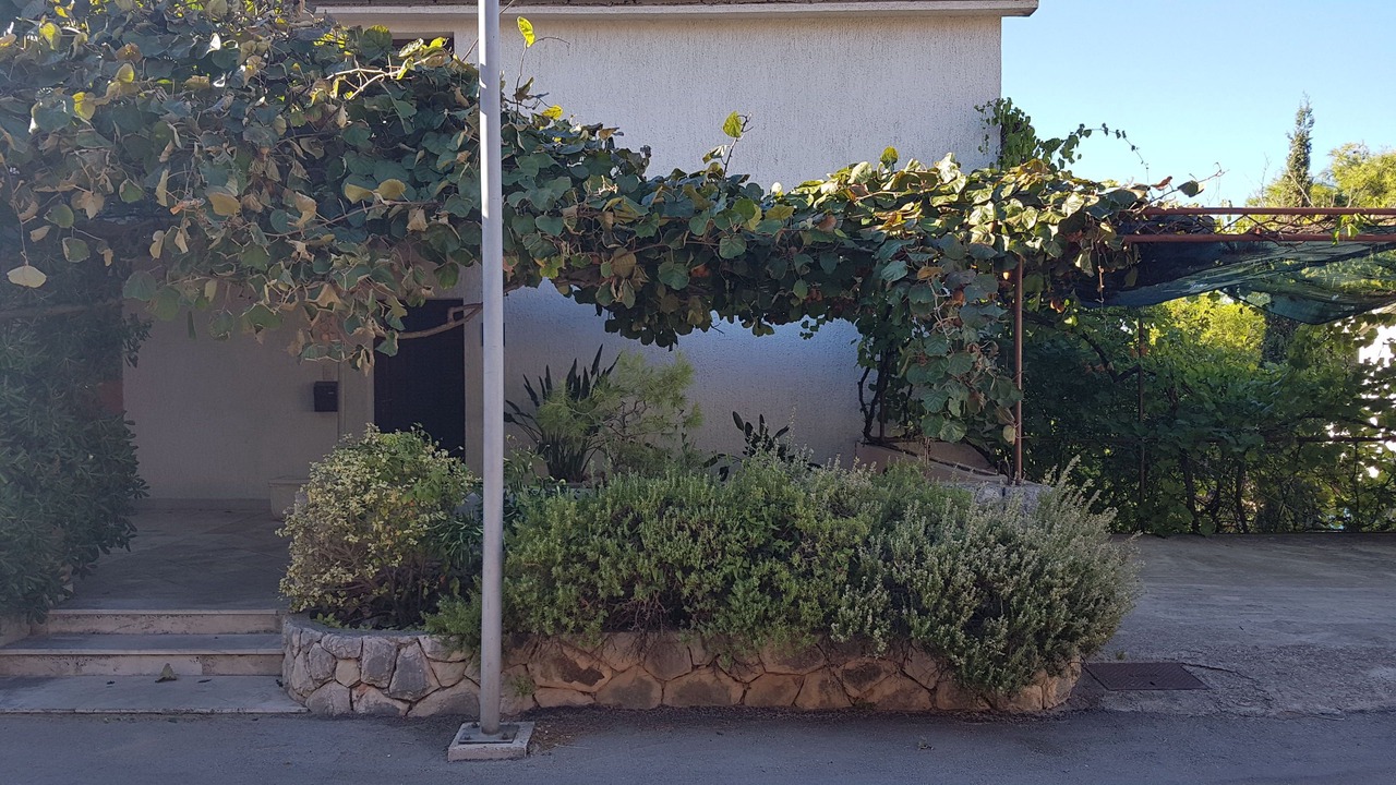 Photo of Outdoor in Island Hvar
