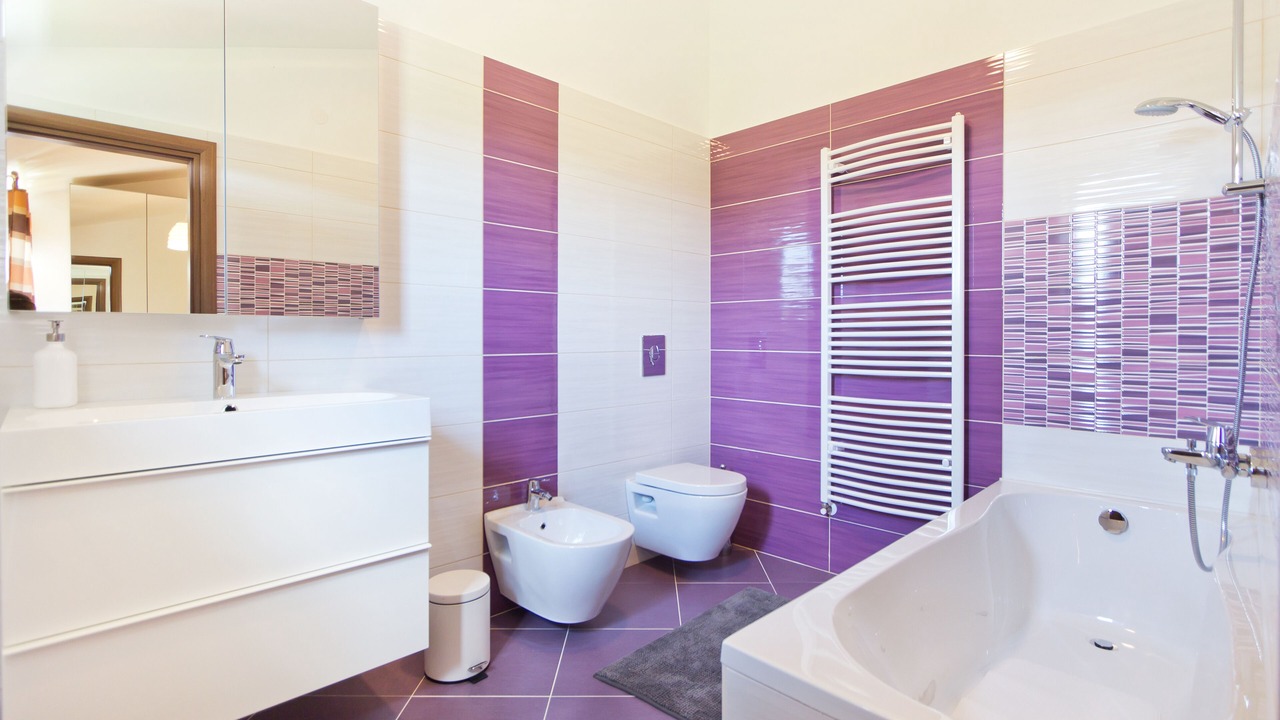 Photo of Bathroom in Nedescina