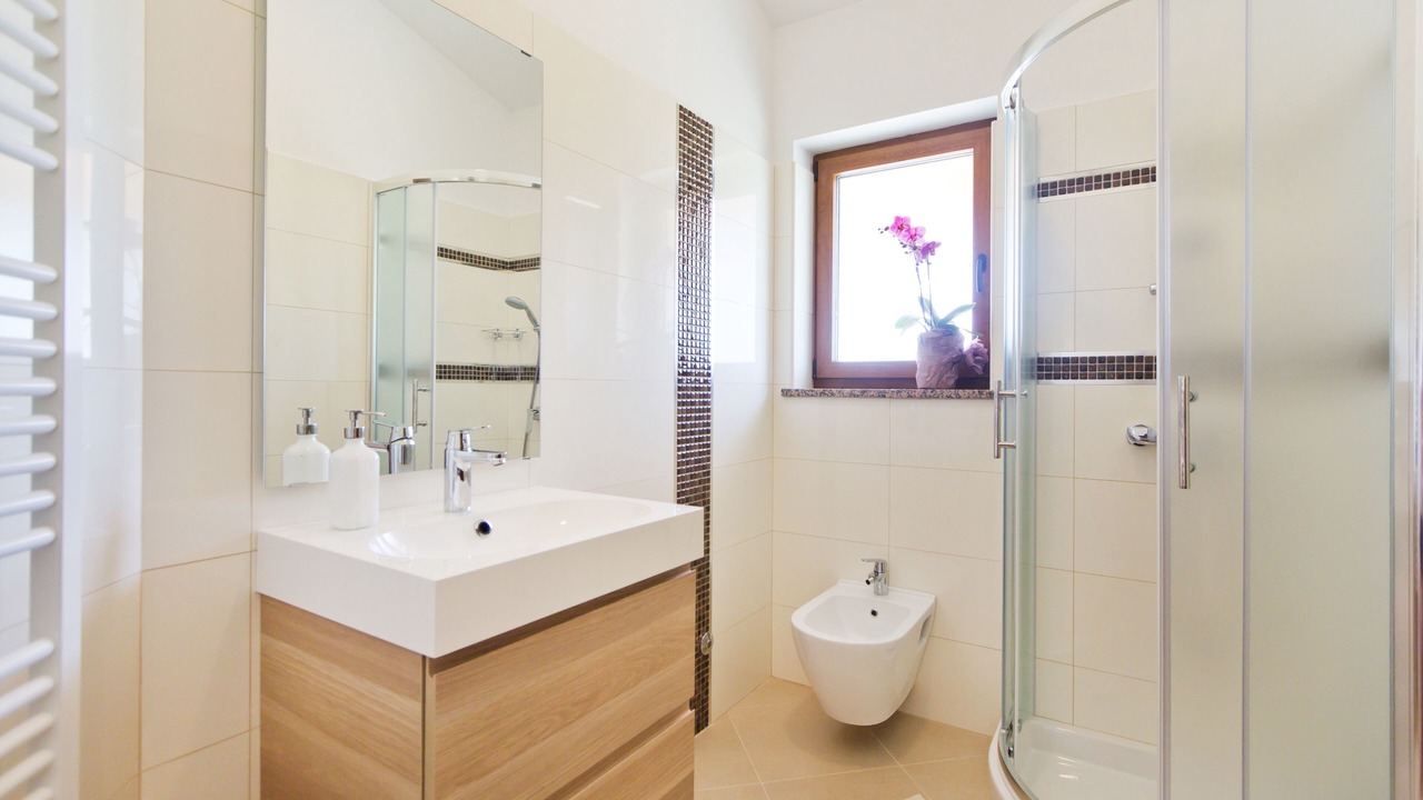 Photo of Bathroom in Nedescina