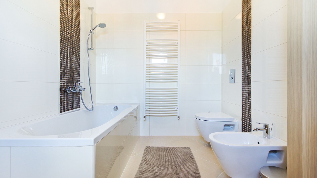 Photo of Bathroom in Nedescina