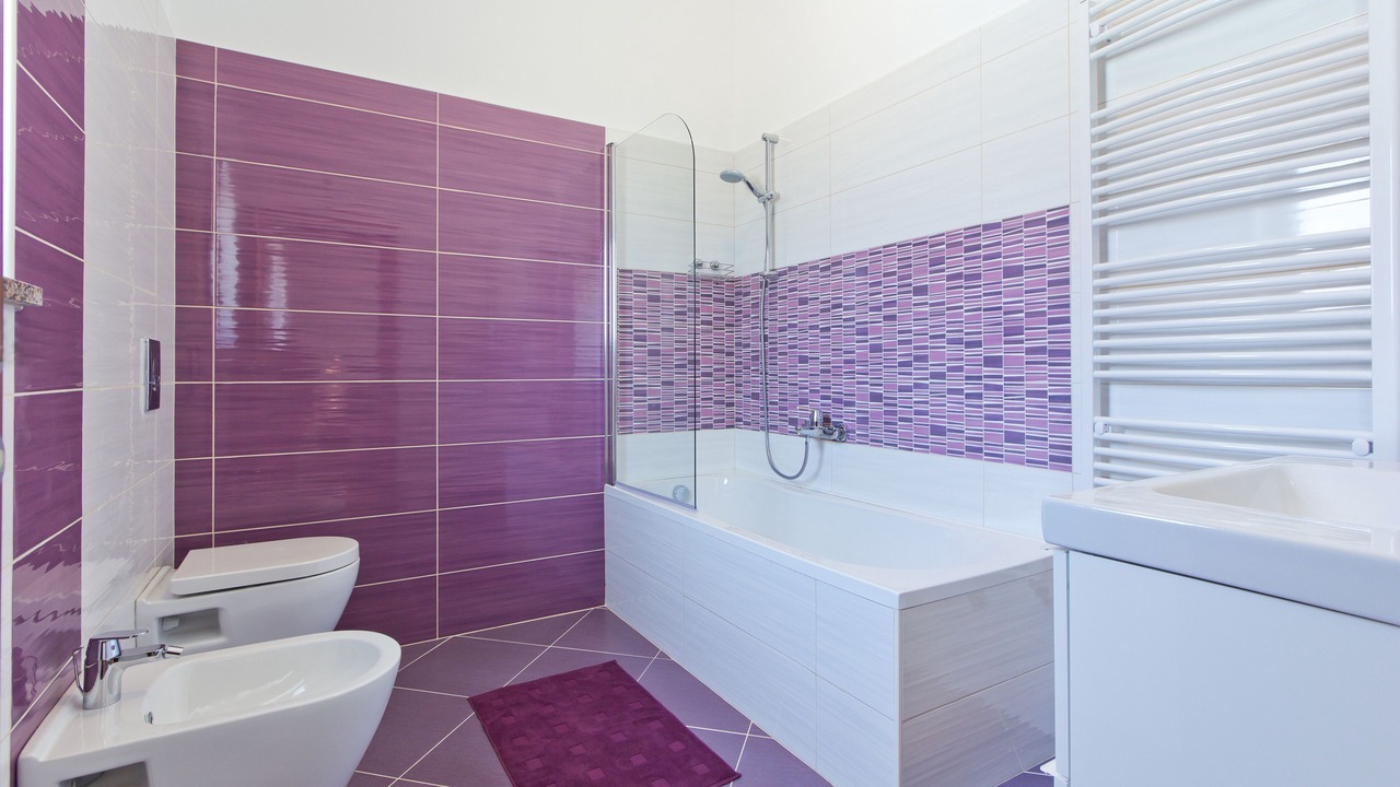 Photo of Bathroom in Nedescina