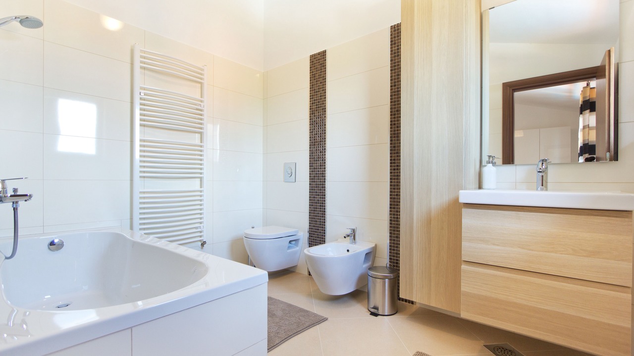 Photo of Bathroom in Nedescina