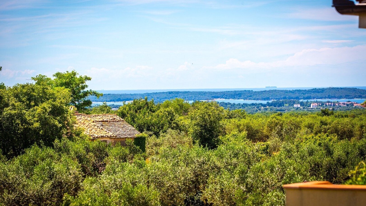 Photo of Others in Galizana