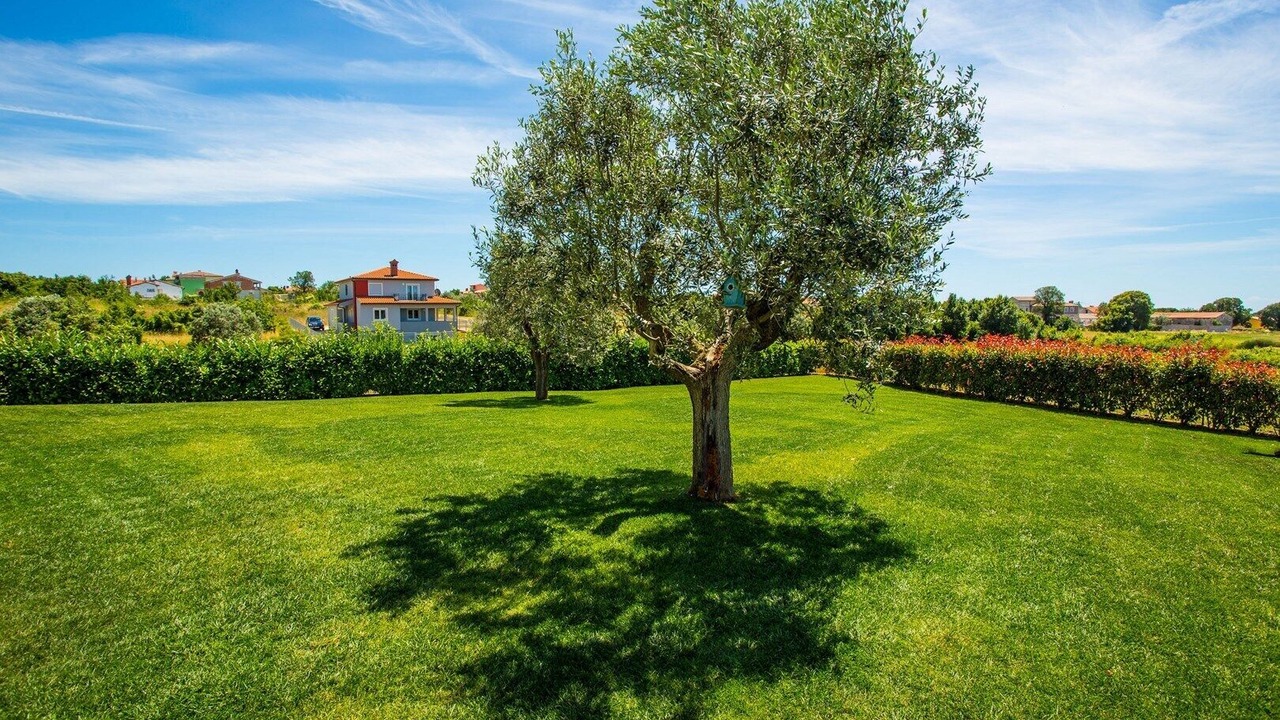 Photo of Outdoor in Galizana