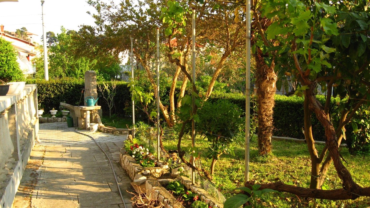 Photo of Outdoor in Palit