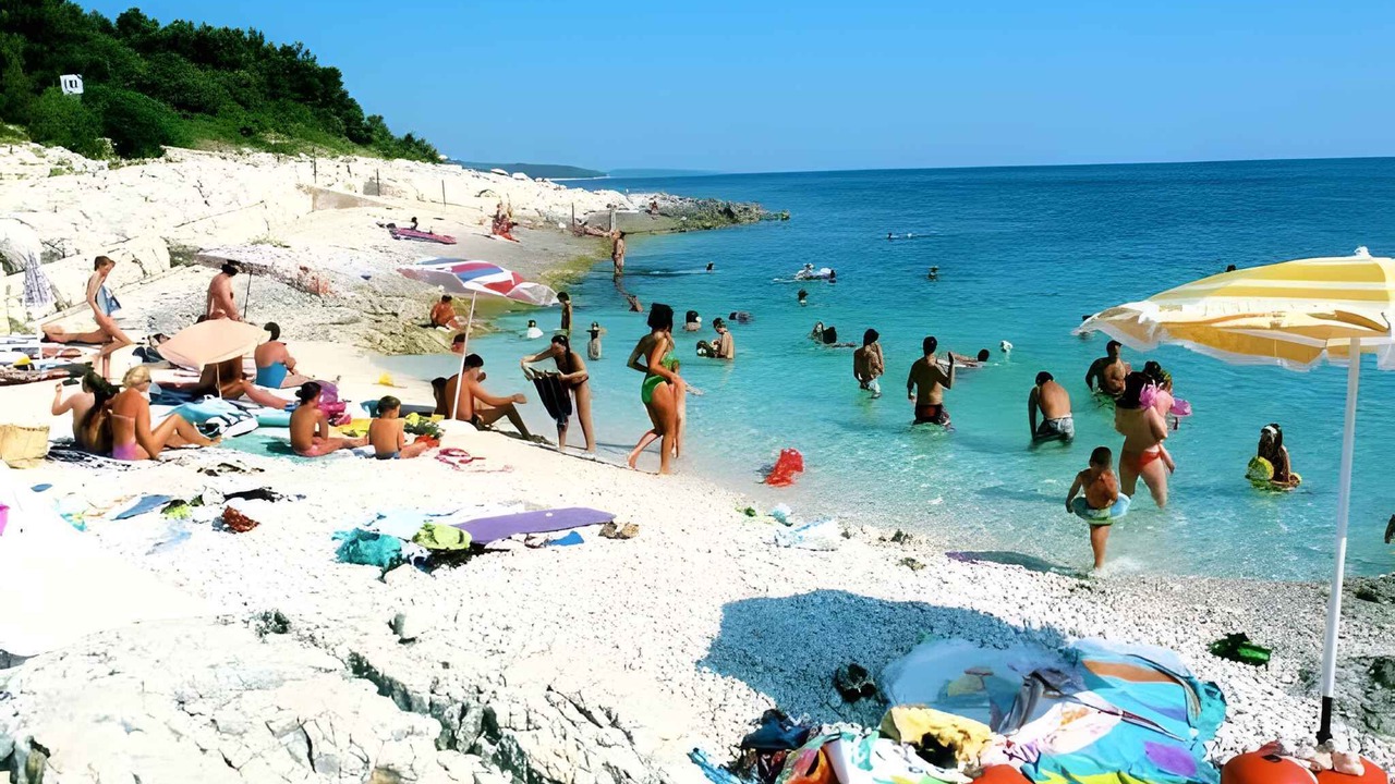 Photo of Others in Cove Murtar