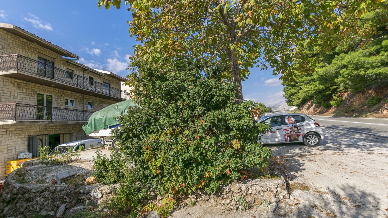 Photo of Outdoor in Tice