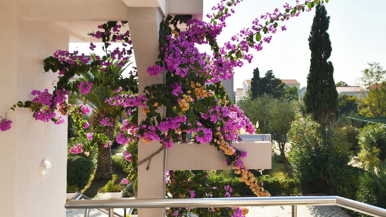 Photo of Outdoor in Novalja