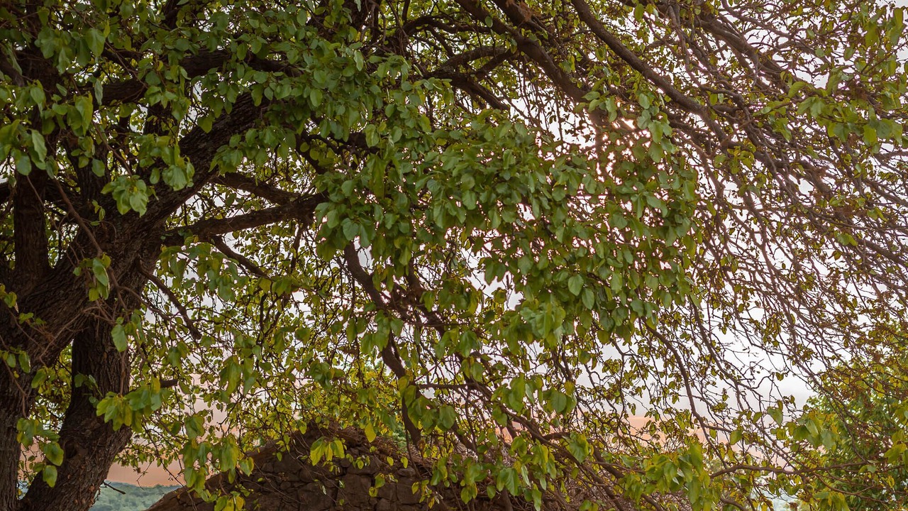 Photo of Outdoor in Lupoglav
