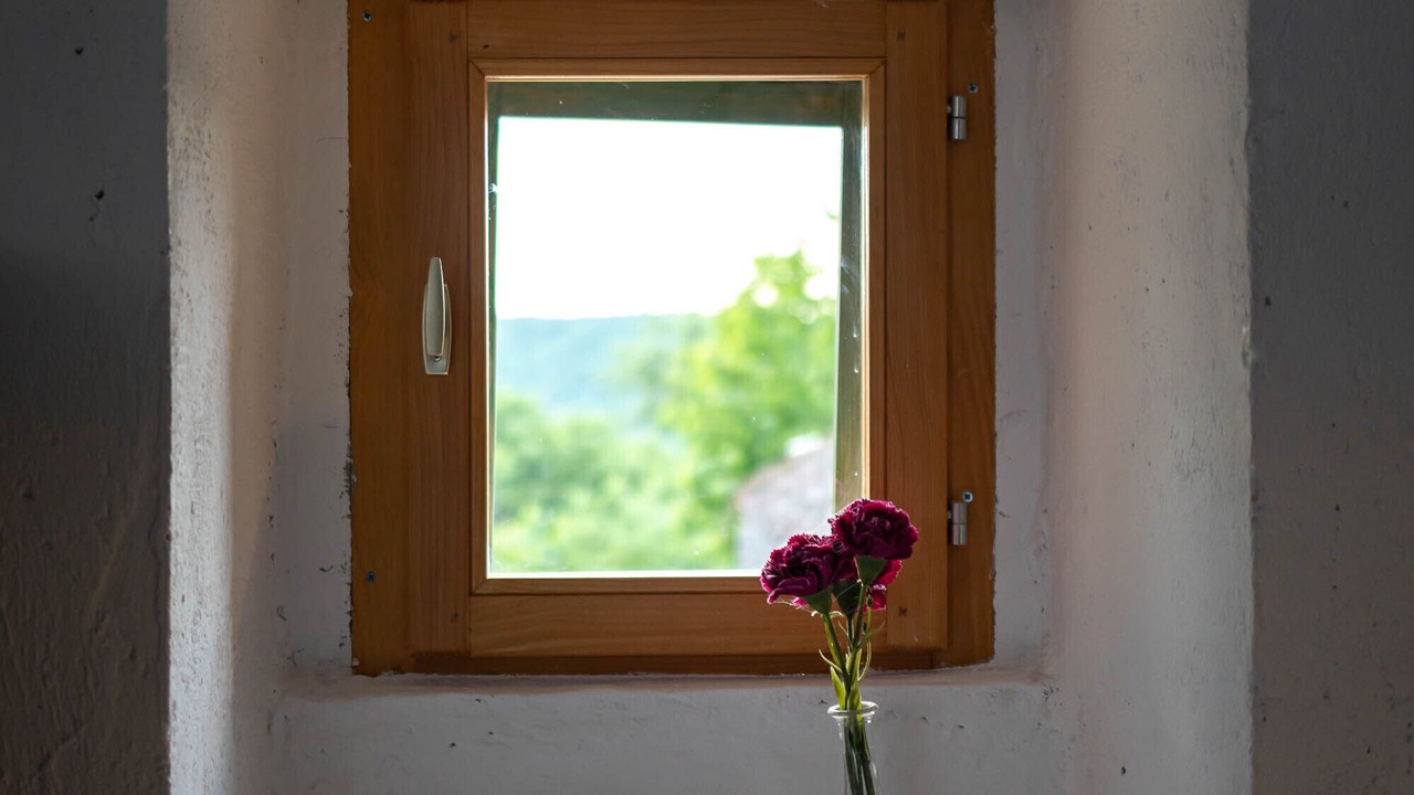 Photo of Others in Lupoglav