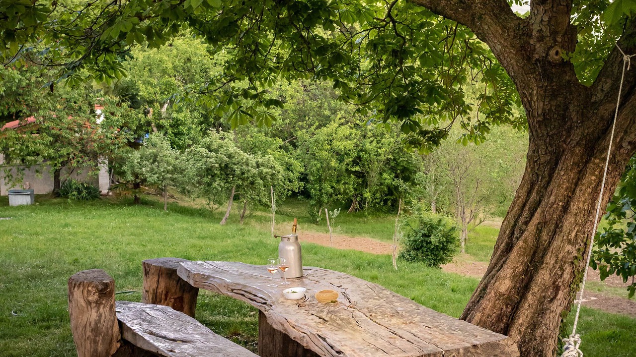 Photo of Outdoor in Lupoglav